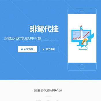 琲鸳代挂网客户端APP下载页面HTML模板源码